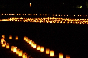 キャンドル2013-3